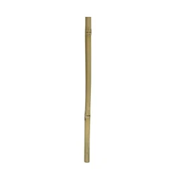 1 stk Gul bambus 100 cm Ø 2 - 3 cm.
