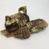 Treattime Okseluftrør 200 g - Naturlige hundesnacks