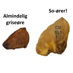 Treattime So øre XXL 1 stk - Naturligt tyggeben