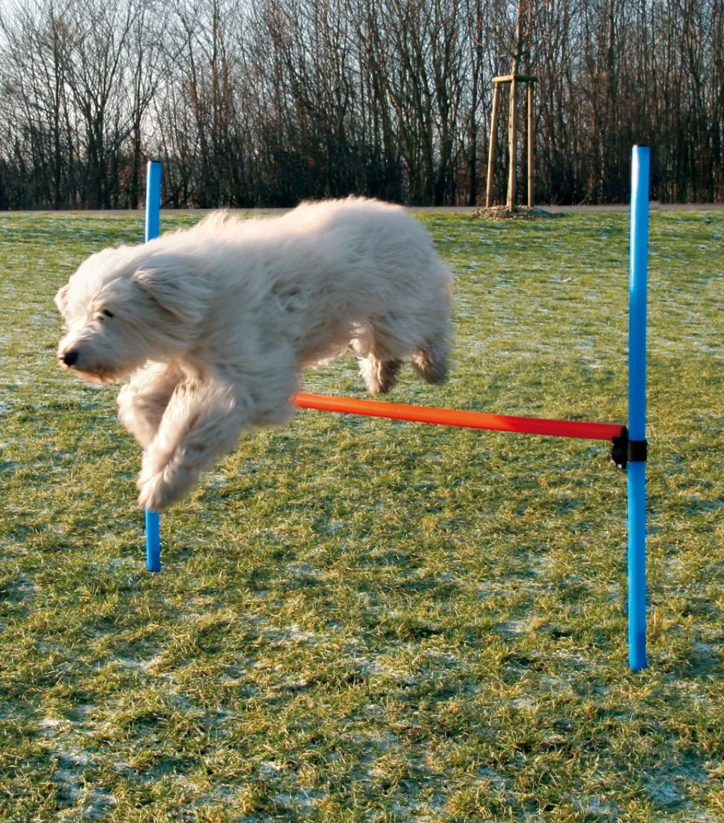 Trixie Agility Hurdle - springtræning til hunde