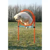 Trixie Agility Ring - sjov træning til hunde
