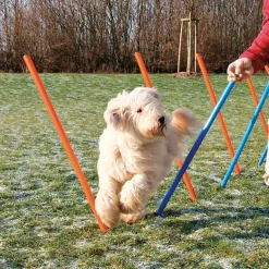 Trixie Agility Slalom - træning af smidighed