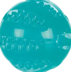 Trixie Mintfresh Bold Ø 6 cm - tandrensende bold med mintsmag