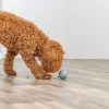 Trixie snack bold ø 6 cm - aktiveringslegetøj til hunde