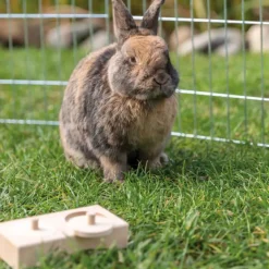 Trixie snack box i natur