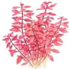 Tropica Akvarieplante i potte Ludwigia palustris Super Red