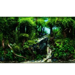 Tropica Gratiola viscidula 1-2-GROW