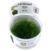 Tropica Riccia fluitans 1-2-GROW