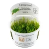 Tropica Vesicularia ferriei Weeping 1-2-GROW