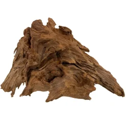 Trærod (Mangrovetræ) M 25-33 cm