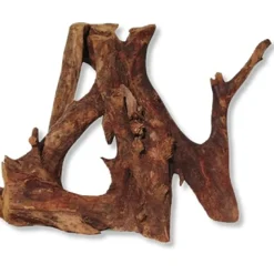 Trærod (Mangrovetræ) XL 34-49 cm