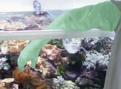 Tunze Akvarie handsker