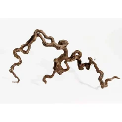 Vinrankerod 40-70 cm (Winewood)