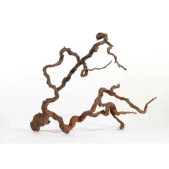 Vinrankerod 70-100 cm (Winewood)