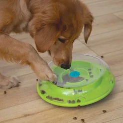 Wobble Bowl Grøn Niveau 1 - interaktiv foderskål til hunde