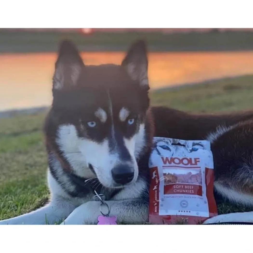 Woolf Hunde- og Kattesnack Bløde Oksekødsbidder
