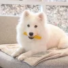 Yaki Gurkemeje 60-69 g M - mellemstort tyggeben til hunde