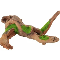 Zolux Kipouss Malaysia Root M With Live Plant Seeds