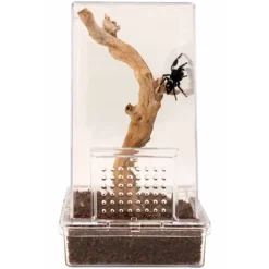 Zoo Med Spring Edderkop Kit 7,6 x 7,6 x 15,25 cm